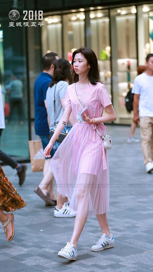 大秦帝国之纵横演员表