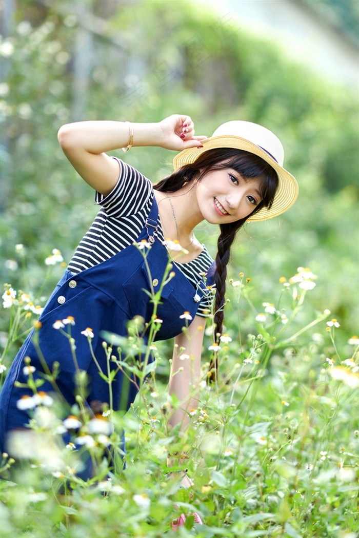 日本高清dvd碟片