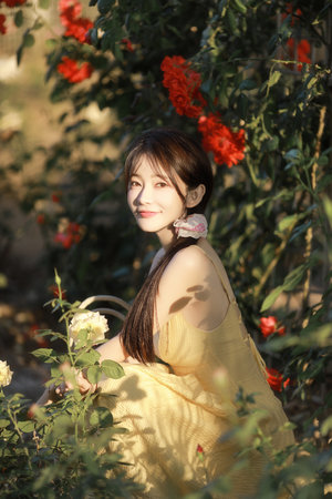 2012中文字幕电影