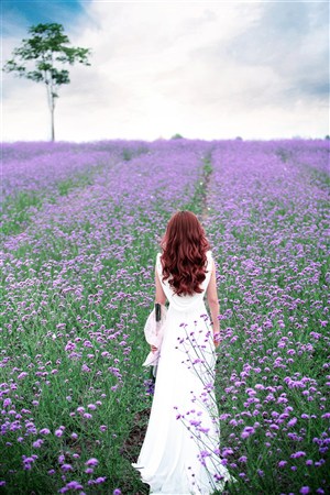 绝望的主妇所有的秘密