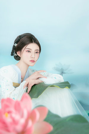 领袖水准在线观看