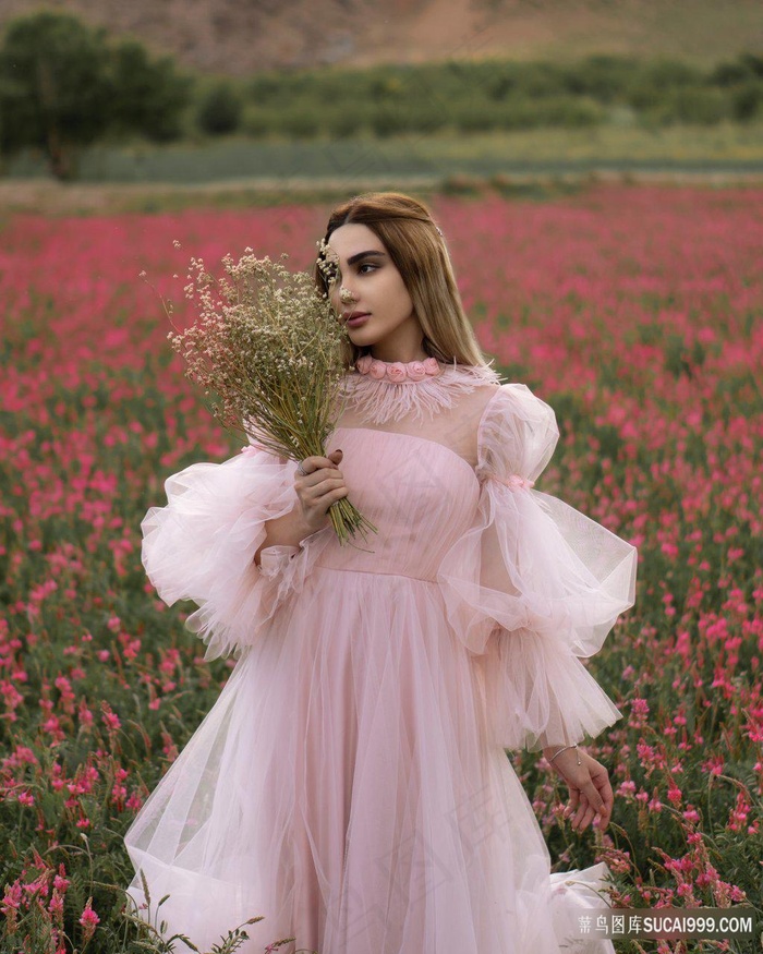 整篇都是车的多肉1V3比P文