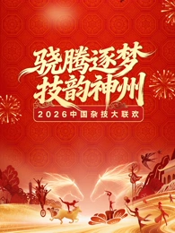 河南卫视2026中国杂技大联欢